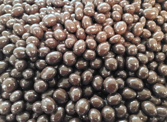 Sugar Free Chocolate Covered Peanuts