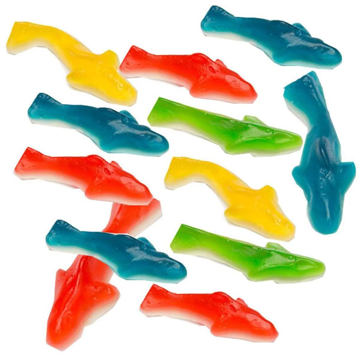 Assorted Coloured Gummy Sharks