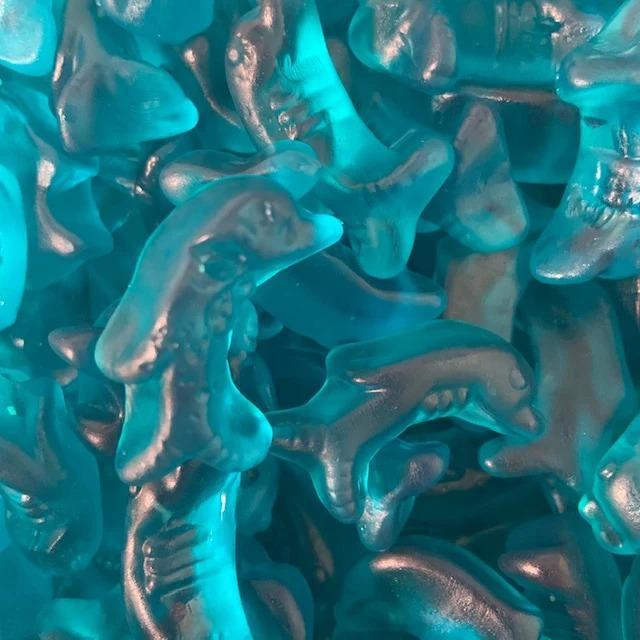 Gummi Blue Dolphins