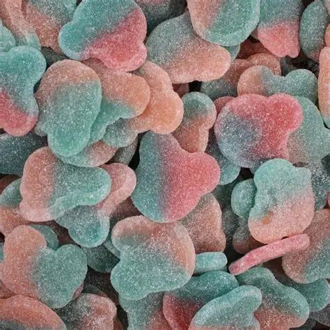 Bubblegum Teddys